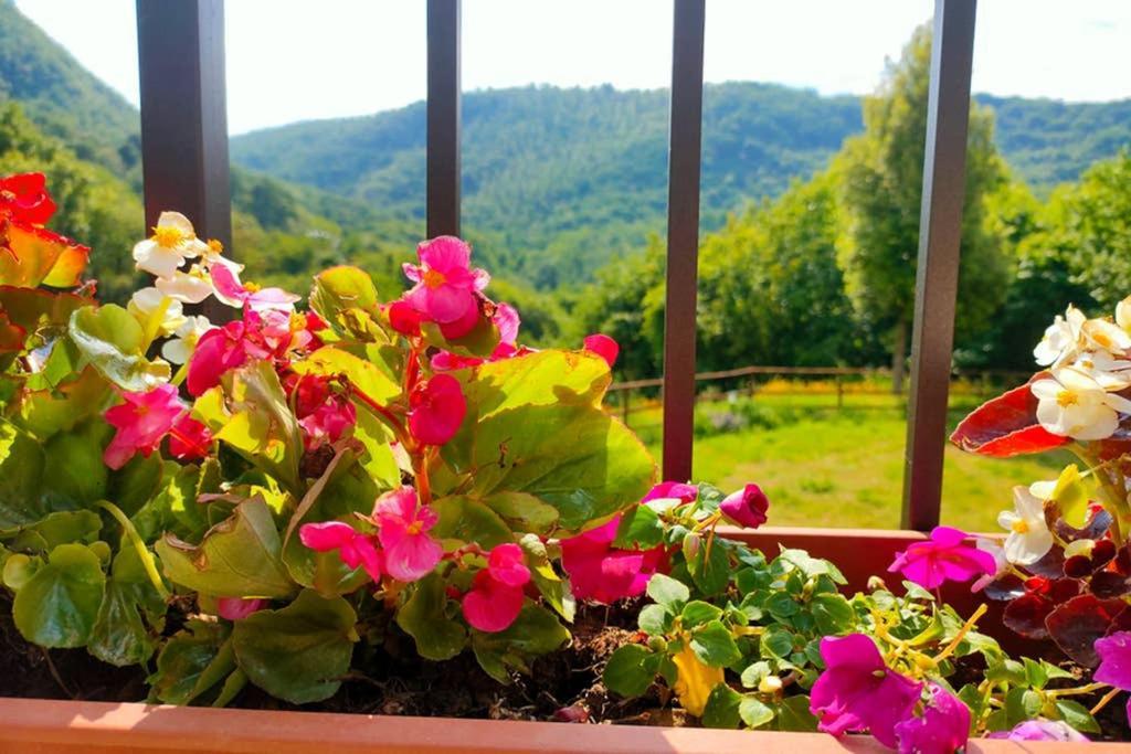 Villa Con Piscina 10 Posti Letto, L'Oliveta Di Rivalto Chianni Exterior foto
