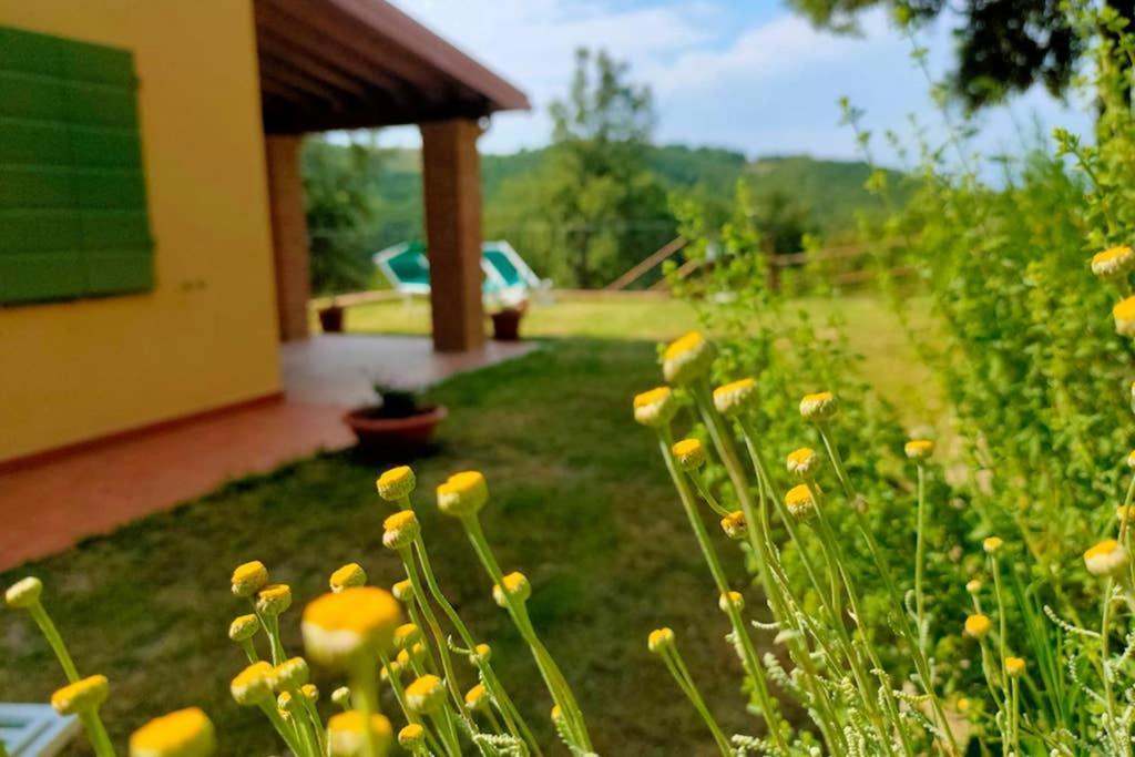 Villa Con Piscina 10 Posti Letto, L'Oliveta Di Rivalto Chianni Exterior foto
