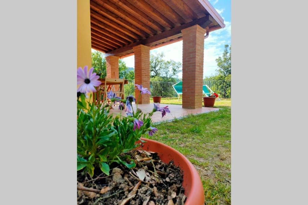 Villa Con Piscina 10 Posti Letto, L'Oliveta Di Rivalto Chianni Exterior foto
