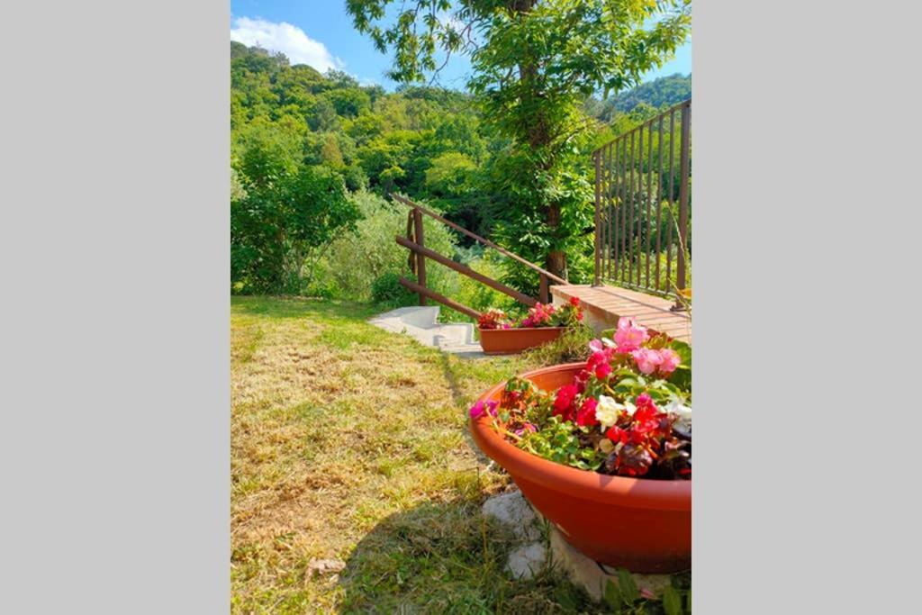 Villa Con Piscina 10 Posti Letto, L'Oliveta Di Rivalto Chianni Exterior foto